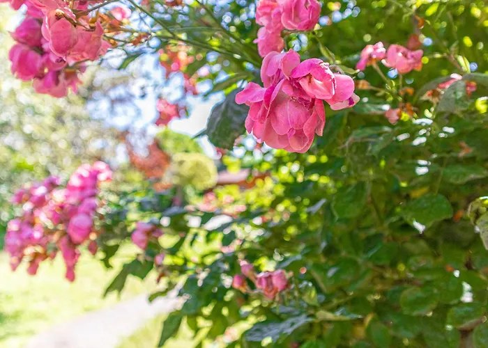 Вилла Elegant Garden With Free Wifi Sleeps 25 *