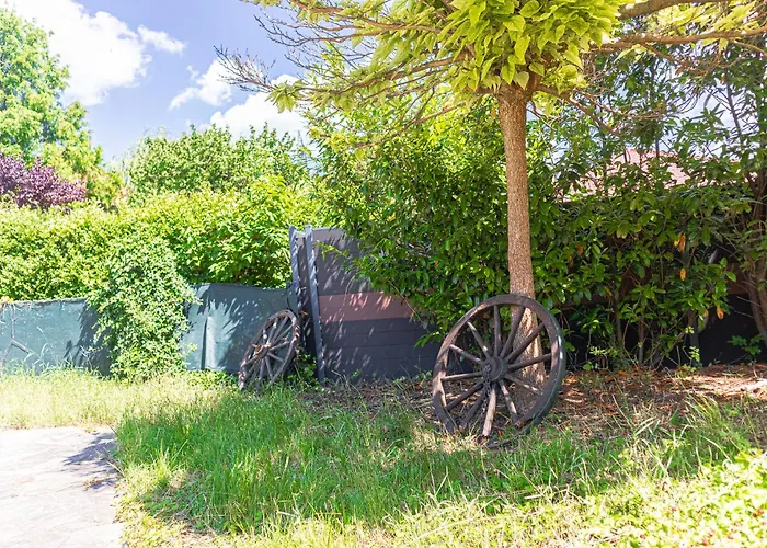 Elegant Garden With Free Wifi Sleeps 25 Вілла *